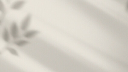 Shadow overlay effect transparent light background