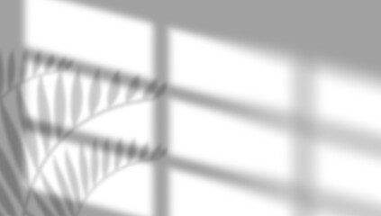  Window Sunlight Shadow Effect with Palm leaves Shadow background