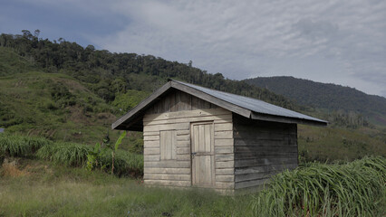 A small farmer's cabin in the middle of a citronella garden. A simple wooden cabin belonging to an Asian citronella farmer