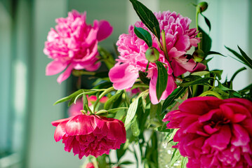 red peonies in the vase
