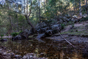 Kanangra-Boyd National Park, NSW