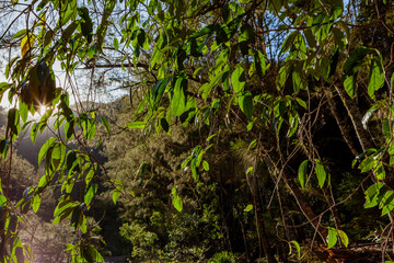 Kanangra-Boyd National Park, NSW