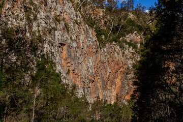 Kanangra-Boyd National Park, NSW