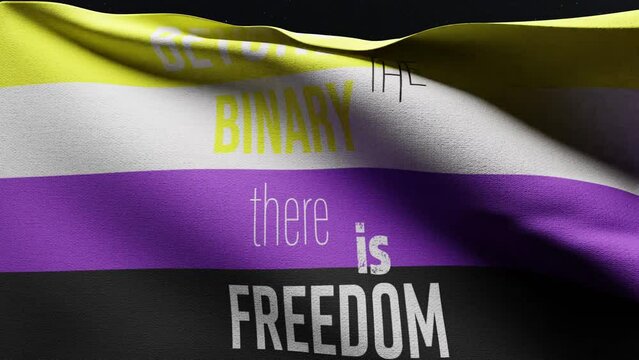 Non binary Flag with Text Beyond the Binary There is Freedom