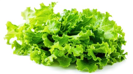 A high-resolution photo of crisp green lettuce leaves, isolated on a white background with clipping path