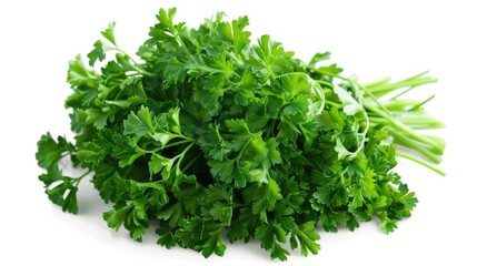 Fototapeta premium A detailed high-resolution image of fresh parsley, isolated on a white background with clipping path