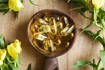 Gel capsules of evening primrose oil on a spoon with blooming Oenothera biennis plant. Nutritional...