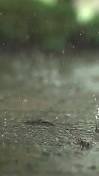 Raindrops Splashing on Wet Ground with Ripples and Blurred Nature Background Capturing Peaceful Outdoor Rain Scene Perfect for Relaxation Mood. Slow Motion Close Up Vertical Video