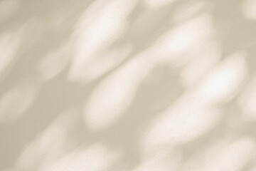 Abstract  light shadow of leaf blurred background. Window shadows natural diagonal leaves tree...