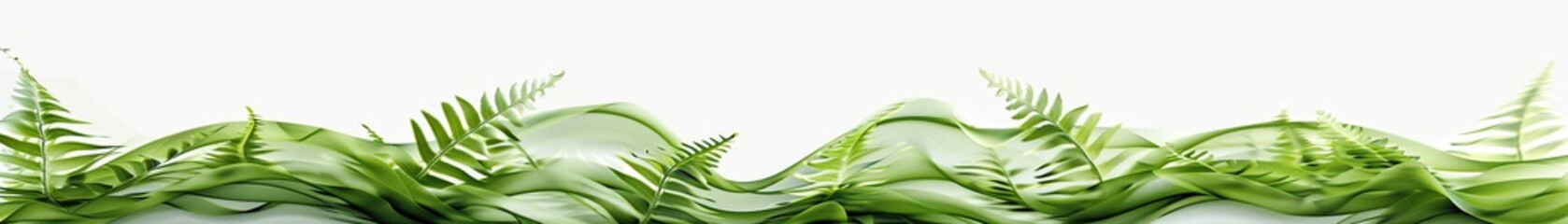 Obraz premium Soft fern green waves, light and natural, undulating serenely against a clean white background, bringing a touch of the forest indoors