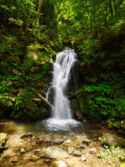 Obraz premium 【奈良県】奈良市 鶯の滝 (2024/05/30撮影)