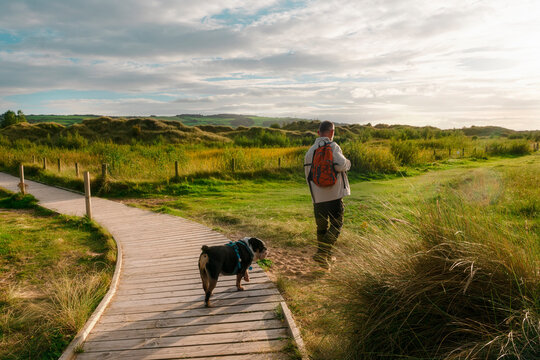 Pensioner with English bulldog walking on grass in Wales seaside on Autumn day. Happy Free time in retirement	