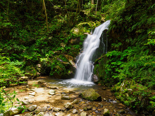 Naklejka premium 【奈良県】奈良市 鶯の滝 (2024/05/30撮影)