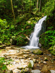 【奈良県】奈良市 鶯の滝 (2024/05/30撮影)