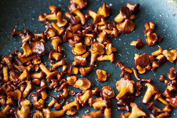 Fried golden chanterelles in a frying pan. © Ryzhkov Oleksandr
