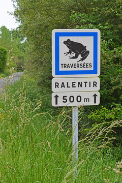 Panneaux de signalisation  :  attention travers&eacute;es de crapauds et de grenouilles.