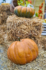 Decorated photo zone outdoor