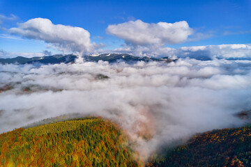 Mountains in clouds at sunrise in summer. Aerial view of mountain peak with green trees in fog. Top view from drone of mountain valley in low clouds