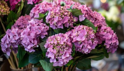 Obraz premium Purple Hydrangea Elegance: Embracing Modern Trends in Floriculture for Residential Décor
