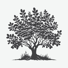Obraz premium Print Majestic Huckleberry Tree Silhouette, Nature's Artistic Masterpiece