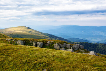rolling hills of carpathian mountains. stones on the grassy alpine meadows of ukraine in summer....
