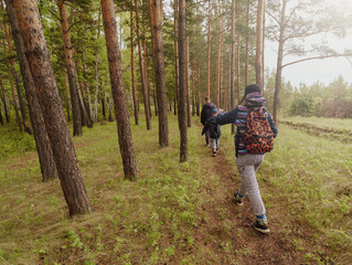 Fototapeta premium hiking in the spring forest