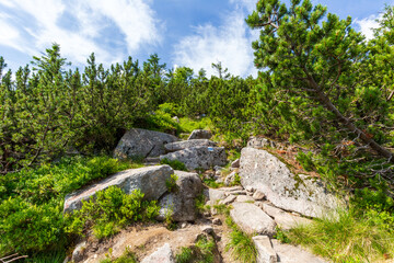 Rocky mountain tourist trail in the Karkonosze Mountains on sunny day