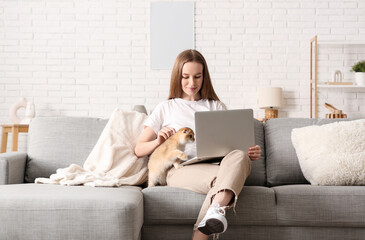 Young woman with cute kitten and laptop sitting on sofa at home