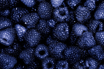 blue-purple raspberries textured background