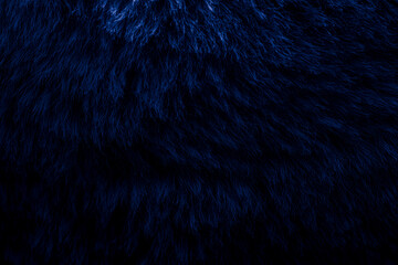 blue-purple velour plush cloth textured background