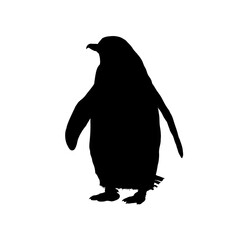 penguin silhouette - vector illustration