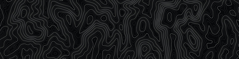Fototapeta premium Imitation of a geographical map, white lines on black background, vector design