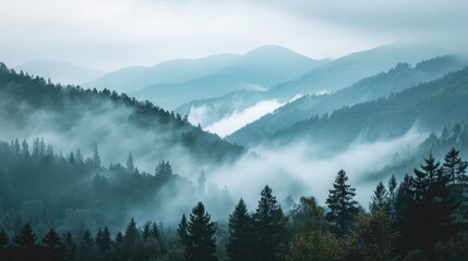 Mountains with wooded sides and summits disappearing in mist Thick mist in the mountains during an overcast day