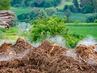 Rauchender Misthaufen