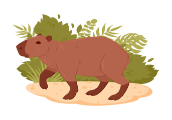 Semi aquatic capybara animal. Cartoon wild capybara mammal in natural habitat flat vector illustration. Cute capybara