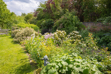 Colourful flowers in an English country garden in May