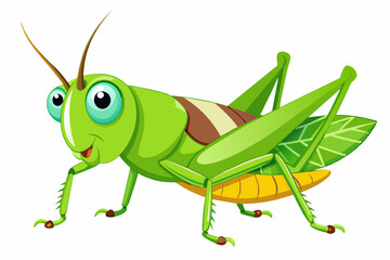 cartoon grasshopper vector illustration