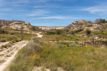 Paysage du désert des Bardenas Reales, parc naturel dans la région de Navarre, Espagne