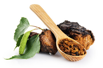 Chaga mushroom pieces with birch leaves isolated on white background. With clipping path.