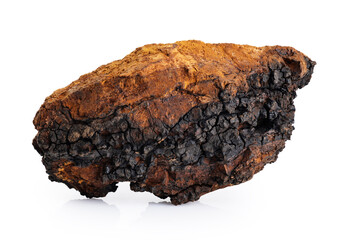 Chaga mushroom piece isolated on white background. With clipping path.