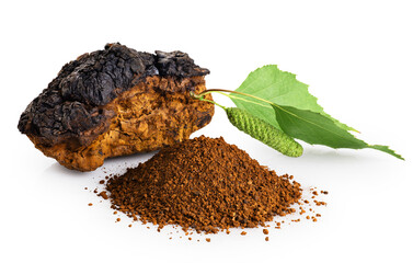 Chaga mushroom pieces with birch leaves isolated on white background.