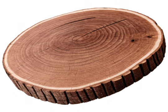 Detailed wooden log cut section with visible tree rings, ideal png with transparent, on a white background