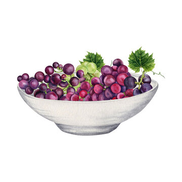 recommend clip art: Red grapes on white ceramic plate. Fruits and berries in a bowl. Healthy snack or picnic platter. Hand drawn watercolor illustration isolated on transparent background. Food and wine design element