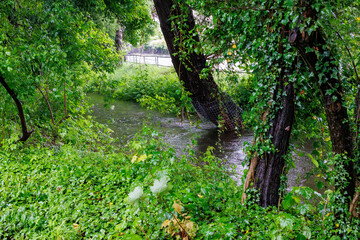 Flood after heavy rainfall on the Brunnenbach in Germany, Augsburg, 1 June 2024