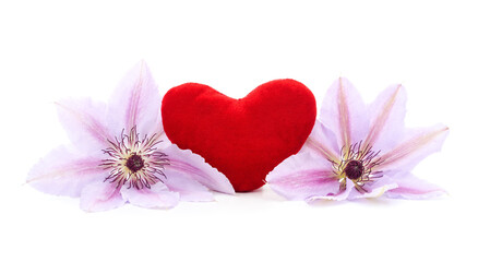 Two purple clematis with a toy heart.