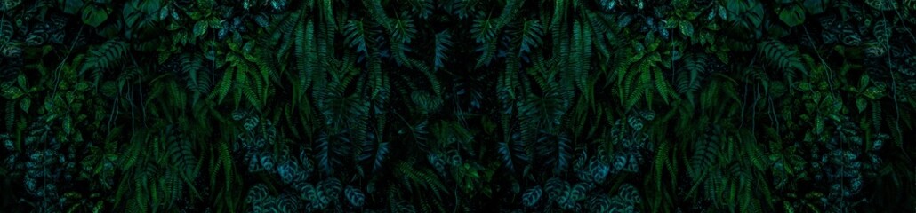 Herb wall, plant wall, natural green wallpaper and background. nature wall. Nature background of green forest