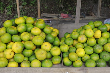 oranges, pile of green peel oranges on the market