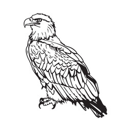eagle on a white background