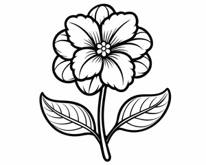 Black and white flower isolated