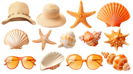 Obraz premium A collection of seashells and starfish on a tropical beach with marine life and patterns